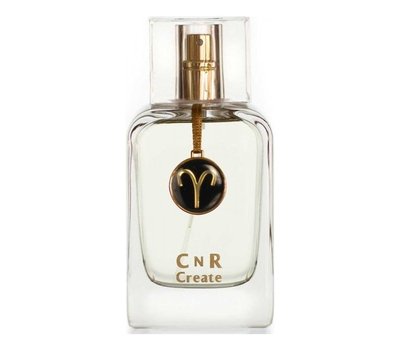 CnR Create Aries for Men 104608