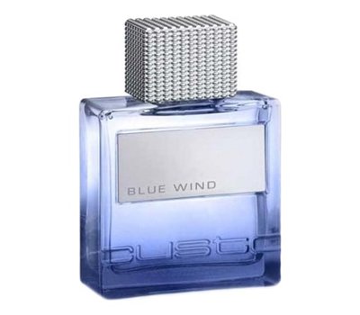 Custo Barcelona Blue Wind 105153