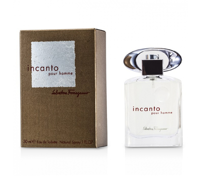 Salvatore Ferragamo Incanto Pour Homme 124396