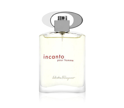 Salvatore Ferragamo Incanto Pour Homme 193944