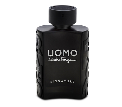 Salvatore Ferragamo Uomo Signature 194092