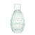 Jimmy Choo Floral